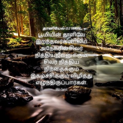 Picture 04 - தானியேல் 12:2 TAMIRV - பூமியின் தூளிலே - Bible Verse Picture