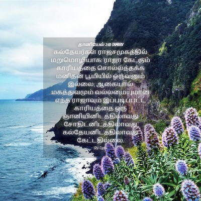 Picture 04 - தானியேல் 2:10 TAMIRV - கல்தேயர்கள் - Bible Verse Picture