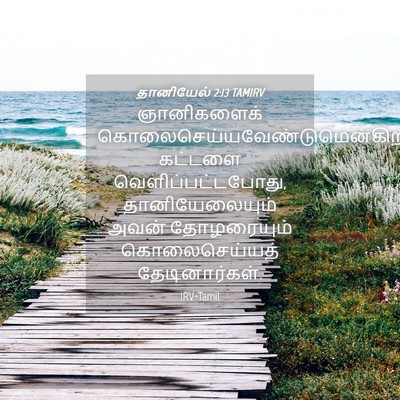 Picture 04 - தானியேல் 2:13 TAMIRV - ஞானிகளைக் - Bible Verse Picture