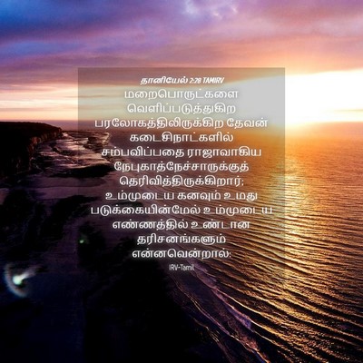 Picture 04 - தானியேல் 2:28 TAMIRV - மறைபொருட்களை - Bible Verse Picture