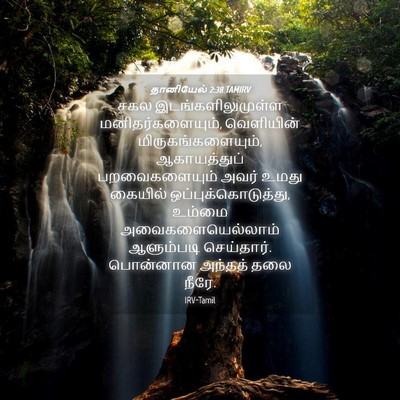 Picture 04 - தானியேல் 2:38 TAMIRV - சகல - Bible Verse Picture