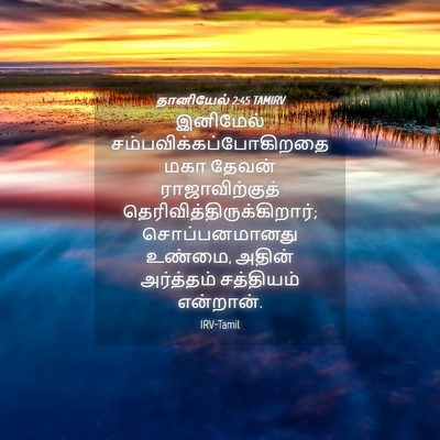 Picture 04 - தானியேல் 2:45 TAMIRV - இனிமேல் - Bible Verse Picture