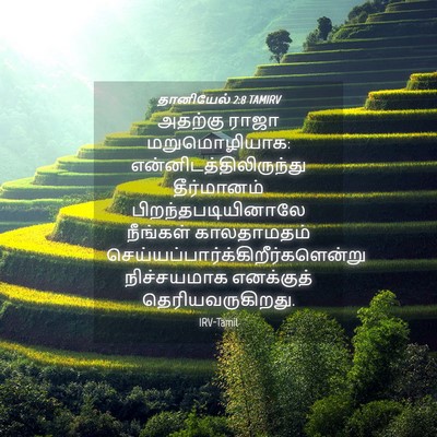 Picture 04 - தானியேல் 2:8 TAMIRV - அதற்கு ராஜா - Bible Verse Picture