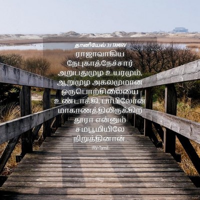 Picture 04 - தானியேல் 3:1 TAMIRV - ராஜாவாகிய - Bible Verse Picture