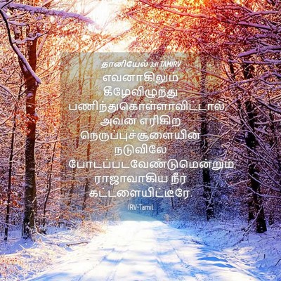 Picture 04 - தானியேல் 3:11 TAMIRV - எவனாகிலும் - Bible Verse Picture