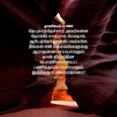 Picture 04 - தானியேல் 3:14 TAMIRV - நேபுகாத்நேச்சார் - Bible Verse Picture