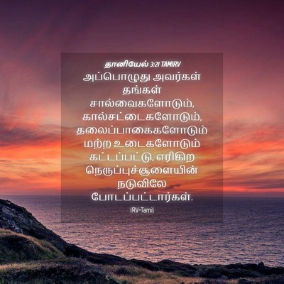 Picture 04 - தானியேல் 3:21 TAMIRV - அப்பொழுது அவர்கள் - Bible Verse Picture