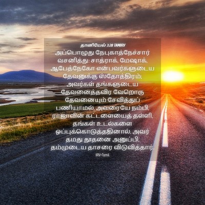 Picture 04 - தானியேல் 3:28 TAMIRV - அப்பொழுது - Bible Verse Picture