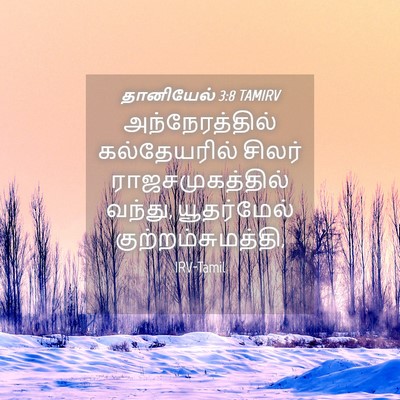 Picture 04 - தானியேல் 3:8 TAMIRV - அந்நேரத்தில் - Bible Verse Picture