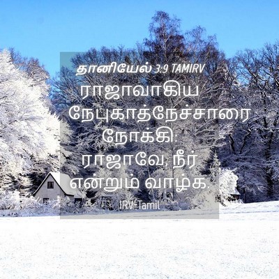 Picture 04 - தானியேல் 3:9 TAMIRV - ராஜாவாகிய - Bible Verse Picture