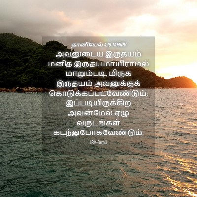 Picture 04 - தானியேல் 4:16 TAMIRV - அவனுடைய இருதயம் - Bible Verse Picture