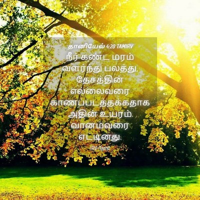 Picture 04 - தானியேல் 4:20 TAMIRV - நீர் கண்ட மரம் - Bible Verse Picture