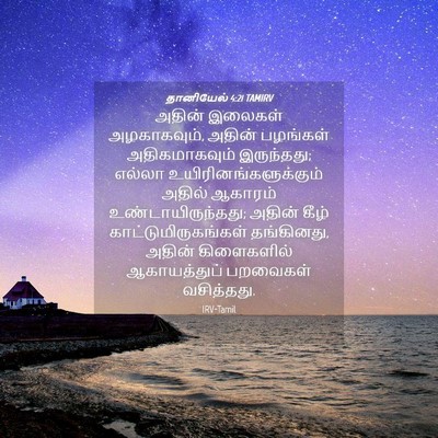 Picture 04 - தானியேல் 4:21 TAMIRV - அதின் இலைகள் - Bible Verse Picture