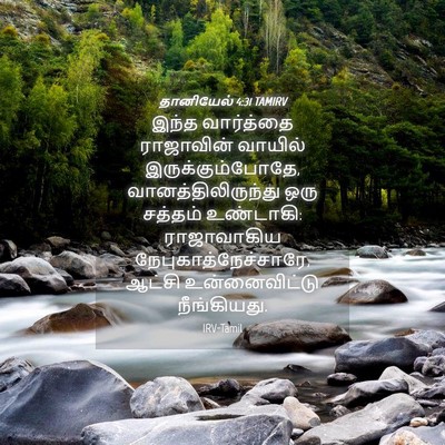 Picture 04 - தானியேல் 4:31 TAMIRV - இந்த வார்த்தை - Bible Verse Picture