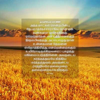 Picture 04 - தானியேல் 4:34 TAMIRV - அந்த நாட்கள் - Bible Verse Picture