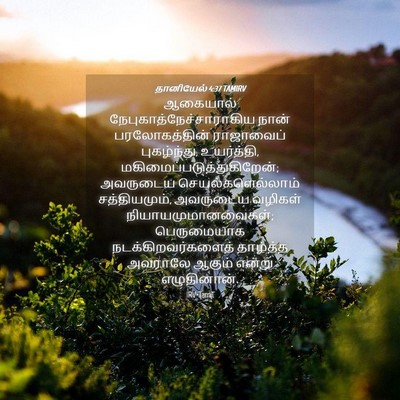 Picture 04 - தானியேல் 4:37 TAMIRV - ஆகையால் - Bible Verse Picture