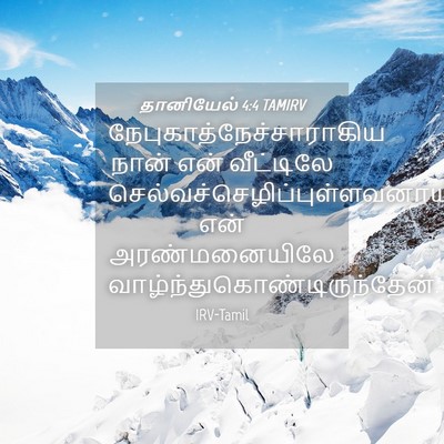 Picture 04 - தானியேல் 4:4 TAMIRV -  - Bible Verse Picture