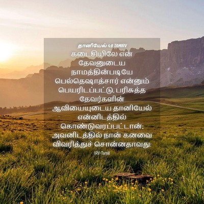 Picture 04 - தானியேல் 4:8 TAMIRV - கடைசியிலே என் - Bible Verse Picture