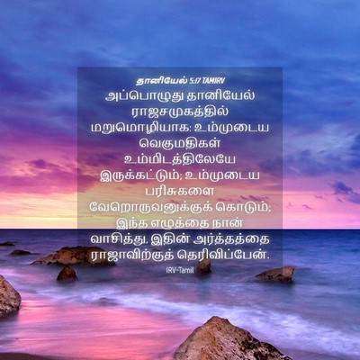 Picture 04 - தானியேல் 5:17 TAMIRV - அப்பொழுது - Bible Verse Picture