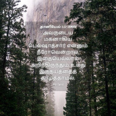 Picture 04 - தானியேல் 5:22 TAMIRV - அவருடைய மகனாகிய - Bible Verse Picture