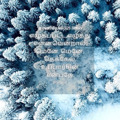Picture 04 - தானியேல் 5:25 TAMIRV - எழுதப்பட்ட - Bible Verse Picture