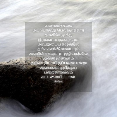 Picture 04 - தானியேல் 5:29 TAMIRV - அப்பொழுது - Bible Verse Picture