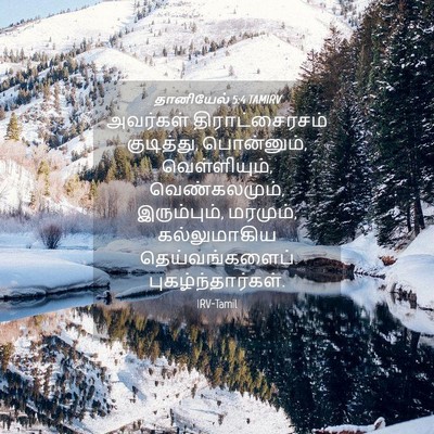 Picture 04 - தானியேல் 5:4 TAMIRV - அவர்கள் - Bible Verse Picture