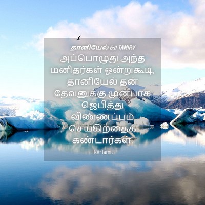 Picture 04 - தானியேல் 6:11 TAMIRV - அப்பொழுது அந்த - Bible Verse Picture