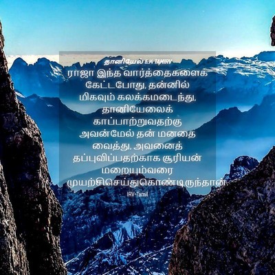Picture 04 - தானியேல் 6:14 TAMIRV - ராஜா இந்த - Bible Verse Picture