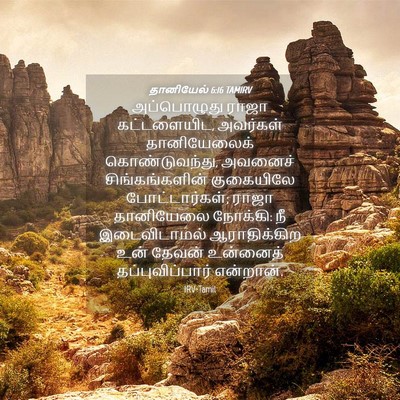 Picture 04 - தானியேல் 6:16 TAMIRV - அப்பொழுது ராஜா - Bible Verse Picture