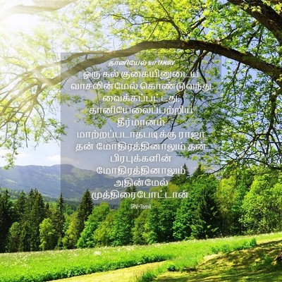 Picture 04 - தானியேல் 6:17 TAMIRV - ஒரு கல் - Bible Verse Picture