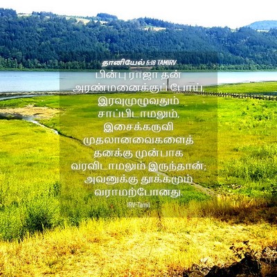 Picture 04 - தானியேல் 6:18 TAMIRV - பின்பு ராஜா தன் - Bible Verse Picture