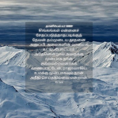 Picture 04 - தானியேல் 6:22 TAMIRV - சிங்கங்கள் - Bible Verse Picture