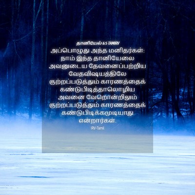 Picture 04 - தானியேல் 6:5 TAMIRV - அப்பொழுது அந்த - Bible Verse Picture