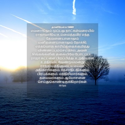 Picture 04 - தானியேல் 6:7 TAMIRV - எவனாகிலும் - Bible Verse Picture