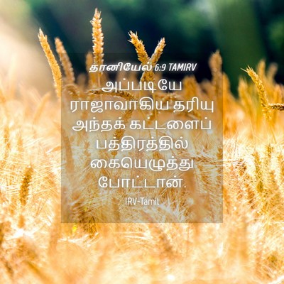Picture 04 - தானியேல் 6:9 TAMIRV - அப்படியே - Bible Verse Picture