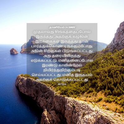 Picture 04 - தானியேல் 7:4 TAMIRV - முதலாவது - Bible Verse Picture