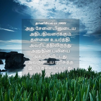 Picture 04 - தானியேல் 8:11 TAMIRV - அது சேனையினுடைய - Bible Verse Picture