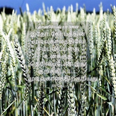 Picture 04 - தானியேல் 8:19 TAMIRV - இதோ, கோபத்தின் - Bible Verse Picture