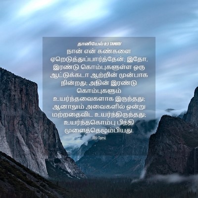 Picture 04 - தானியேல் 8:3 TAMIRV - நான் என் கண்களை - Bible Verse Picture