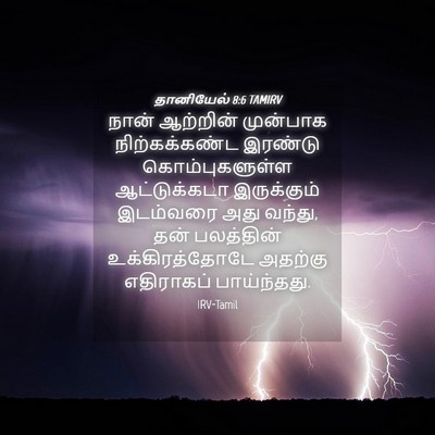 Picture 04 - தானியேல் 8:6 TAMIRV - நான் ஆற்றின் - Bible Verse Picture