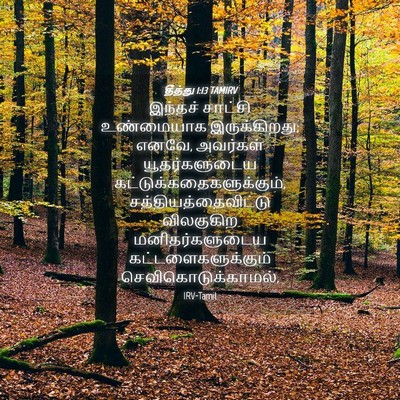 Picture 04 - தீத்து 1:13 TAMIRV - இந்தச் சாட்சி - Bible Verse Picture