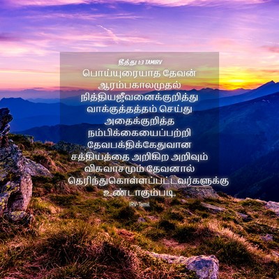 Picture 04 - தீத்து 1:3 TAMIRV - பொய்யுரையாத தேவன் - Bible Verse Picture