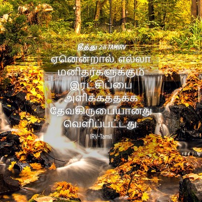 Picture 04 - தீத்து 2:11 TAMIRV - ஏனென்றால், எல்லா - Bible Verse Picture