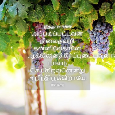 Picture 04 - தீத்து 3:11 TAMIRV - அப்படிப்பட்டவன் - Bible Verse Picture