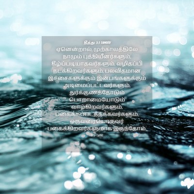 Picture 04 - தீத்து 3:3 TAMIRV - ஏனென்றால், - Bible Verse Picture