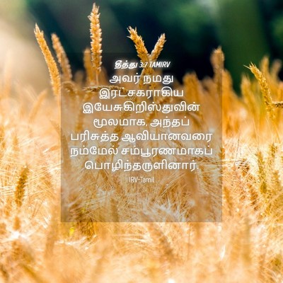 Picture 04 - தீத்து 3:7 TAMIRV - அவர் நமது - Bible Verse Picture
