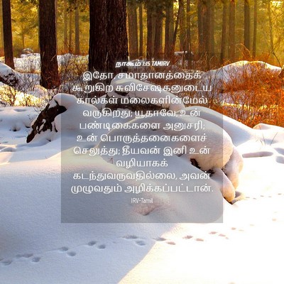 Picture 04 - நாகூம் 1:15 TAMIRV - இதோ, சமாதானத்தைக் - Bible Verse Picture