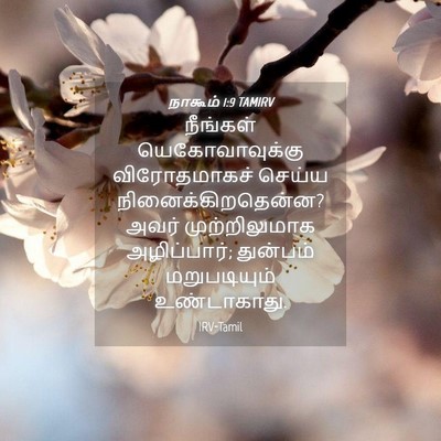 Picture 04 - நாகூம் 1:9 TAMIRV - நீங்கள் - Bible Verse Picture