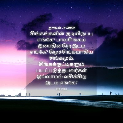 Picture 04 - நாகூம் 2:11 TAMIRV - சிங்கங்களின் - Bible Verse Picture